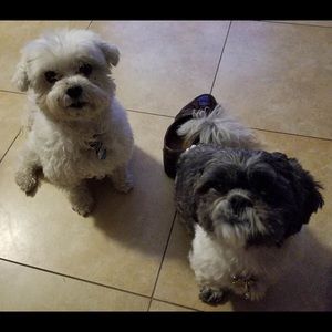 Meet your Posher, Fran